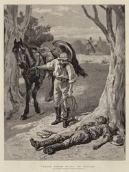 Dood door gebrek aan water